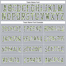 Load image into Gallery viewer, Custom Stitched Gray Black-White Fade Fashion Leopard Print Sports Pullover Sweatshirt Hoodie