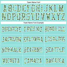 Load image into Gallery viewer, Custom Stitched Ice Blue Black-White Fade Fashion Leopard Print Sports Pullover Sweatshirt Hoodie