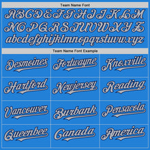 Load image into Gallery viewer, Custom Powder Blue Gray-Navy Bomber Full-Snap Varsity Letterman Two Tone Hoodie Jacket