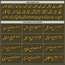 Load image into Gallery viewer, Custom Olive Black Pinstripe Old Gold Salute To Service Two-Button Unisex Softball Jersey