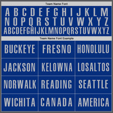 Load image into Gallery viewer, Custom Steel Gray Royal-Gray Authentic Baseball Jersey