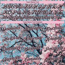 Load image into Gallery viewer, Custom Stitched Light Pink Black 3D Pattern Design Cherry Blossom Sports Pullover Sweatshirt Hoodie