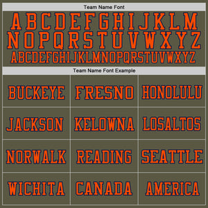 Custom Olive Orange-Navy Mesh Authentic Throwback Salute To Service Football Jersey