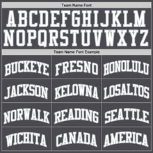 Load image into Gallery viewer, Custom Steel Gray White-Gray Authentic Basketball Jersey
