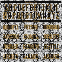 Load image into Gallery viewer, Custom Black Black-Old Gold Sublimation Snakeskin Soccer Uniform Jersey
