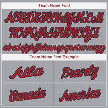 Load image into Gallery viewer, Custom Gray Red-Navy Baseball Jersey
