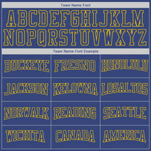 Load image into Gallery viewer, Custom Stitched Royal Royal-Gold Sports Pullover Sweatshirt Hoodie
